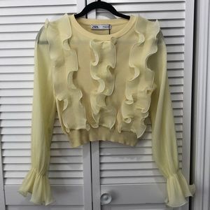 Zara ruffled bell sleeve top